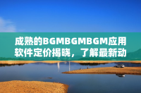 成熟的BGMBGMBGM应用软件定价揭晓，了解最新动态