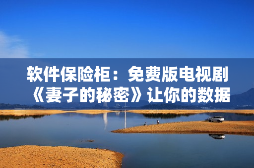 软件保险柜：免费版电视剧《妻子的秘密》让你的数据更安全！