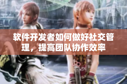 软件开发者如何做好社交管理，提高团队协作效率