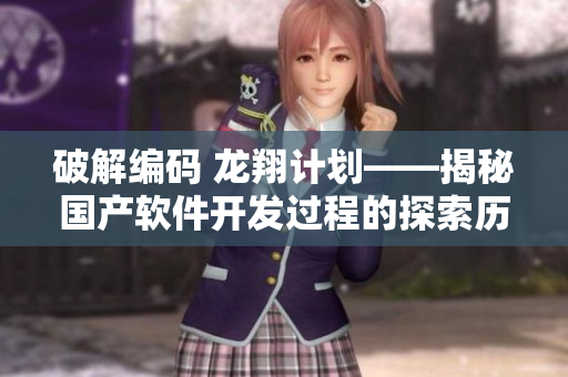 破解编码 龙翔计划——揭秘国产软件开发过程的探索历程