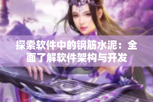 探索软件中的钢筋水泥：全面了解软件架构与开发