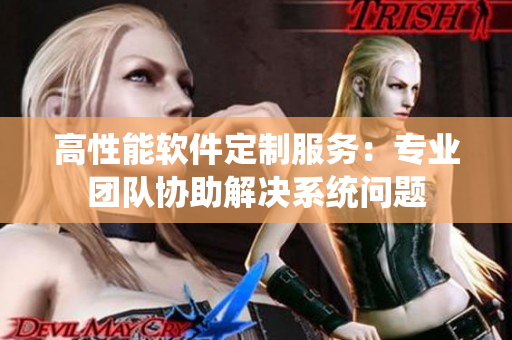 高性能软件定制服务：专业团队协助解决系统问题