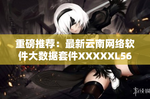 重磅推荐：最新云南网络软件大数据套件XXXXXL56endian诞生！