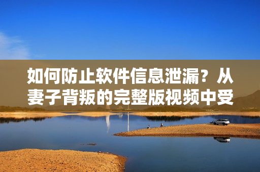 如何防止软件信息泄漏？从妻子背叛的完整版视频中受到的启示