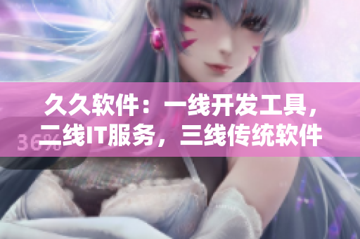 久久软件：一线开发工具，二线IT服务，三线传统软件，重塑品牌价值