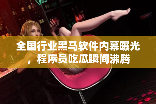全国行业黑马软件内幕曝光，程序员吃瓜瞬间沸腾