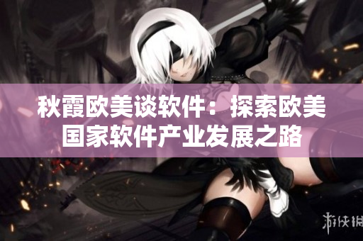 秋霞欧美谈软件：探索欧美国家软件产业发展之路
