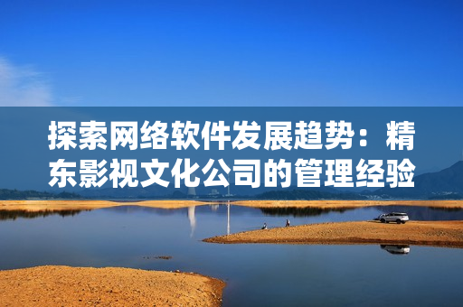 探索网络软件发展趋势：精东影视文化公司的管理经验分享