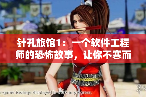 针孔旅馆1：一个软件工程师的恐怖故事，让你不寒而栗！