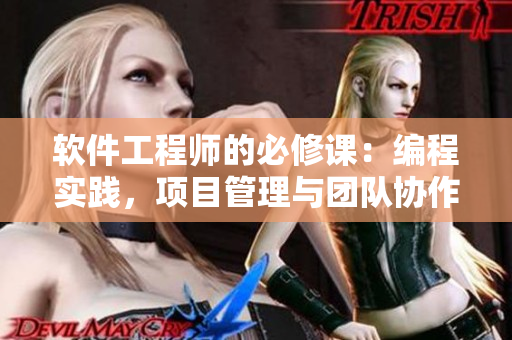 软件工程师的必修课：编程实践，项目管理与团队协作
