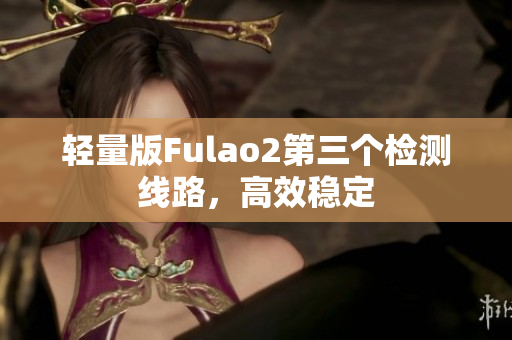 轻量版Fulao2第三个检测线路，高效稳定