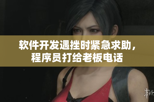 软件开发遇挫时紧急求助，程序员打给老板电话