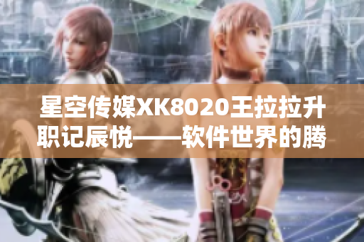 星空传媒XK8020王拉拉升职记辰悦——软件世界的腾飞历程