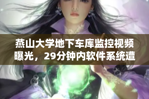 燕山大学地下车库监控视频曝光，29分钟内软件系统遭受入侵的惊人真相
