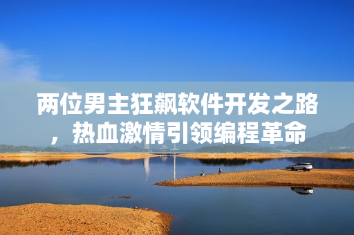 两位男主狂飙软件开发之路，热血激情引领编程革命
