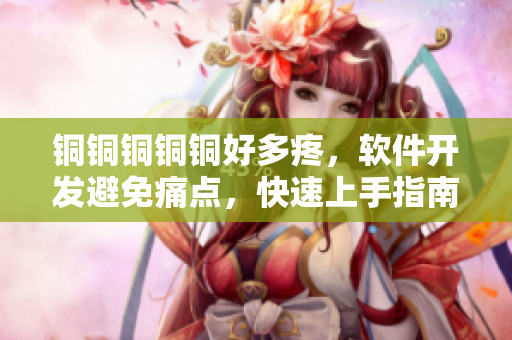 铜铜铜铜铜好多疼，软件开发避免痛点，快速上手指南