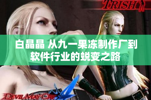 白晶晶 从九一果冻制作厂到软件行业的蜕变之路