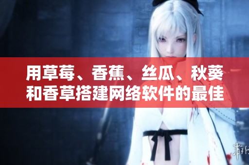 用草莓、香蕉、丝瓜、秋葵和香草搭建网络软件的最佳实践