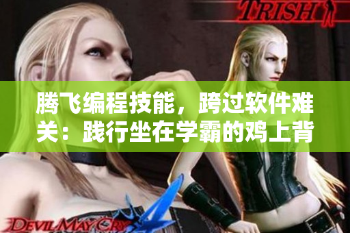 腾飞编程技能，跨过软件难关：践行坐在学霸的鸡上背单词策略