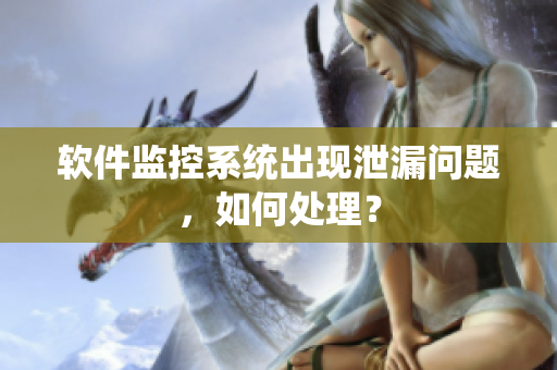 软件监控系统出现泄漏问题，如何处理？