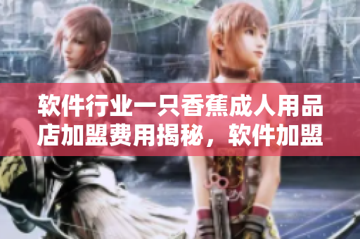 软件行业一只香蕉成人用品店加盟费用揭秘，软件加盟者必看！