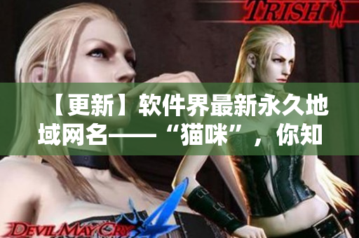 【更新】软件界最新永久地域网名——“猫咪”，你知道吗？!