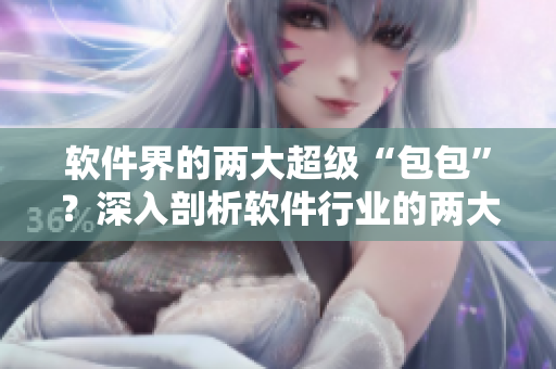 软件界的两大超级“包包”？深入剖析软件行业的两大核心技术！