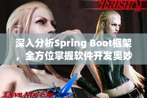 深入分析Spring Boot框架，全方位掌握软件开发奥妙