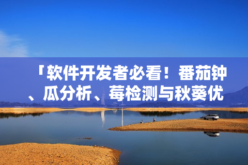 「软件开发者必看！番茄钟、瓜分析、莓检测与秋葵优化的全面指南」