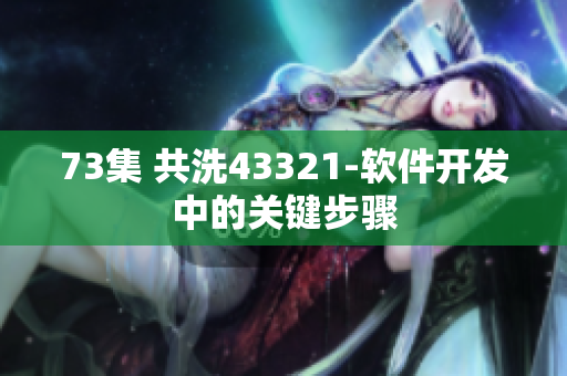 73集 共洗43321-软件开发中的关键步骤