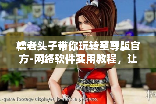 糟老头子带你玩转至尊版官方-网络软件实用教程，让你成为网络软件高手！