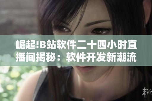 崛起!B站软件二十四小时直播间揭秘：软件开发新潮流