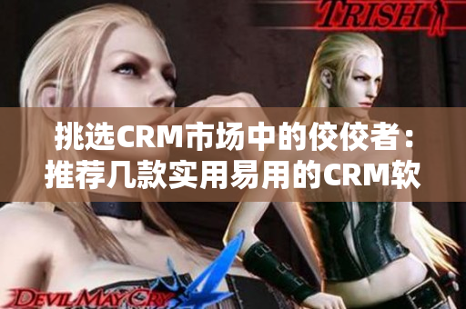 挑选CRM市场中的佼佼者：推荐几款实用易用的CRM软件