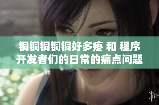 铜铜铜铜铜好多疼 和 程序开发者们的日常的痛点问题