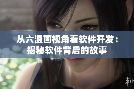 从六漫画视角看软件开发：揭秘软件背后的故事