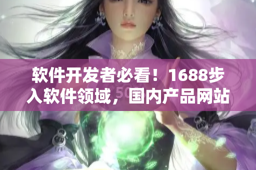 软件开发者必看！1688步入软件领域，国内产品网站迎来全新机遇