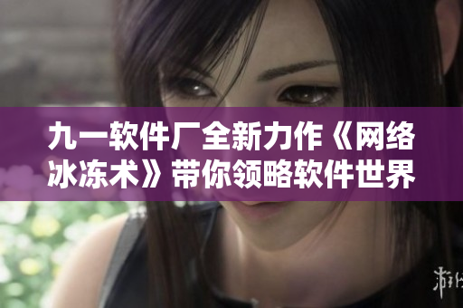 九一软件厂全新力作《网络冰冻术》带你领略软件世界的不可思议