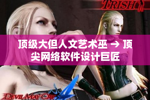 顶级大但人文艺术巫 → 顶尖网络软件设计巨匠