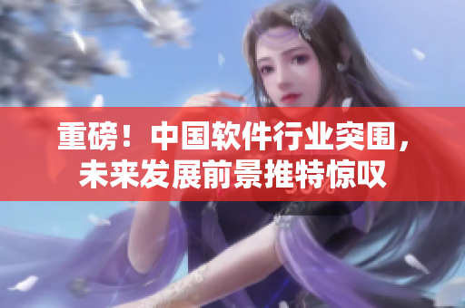 重磅！中国软件行业突围，未来发展前景推特惊叹