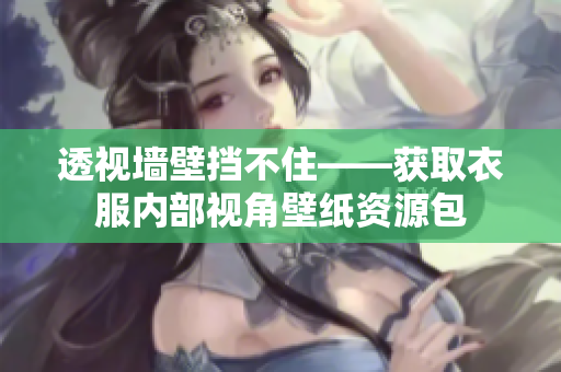 透视墙壁挡不住——获取衣服内部视角壁纸资源包