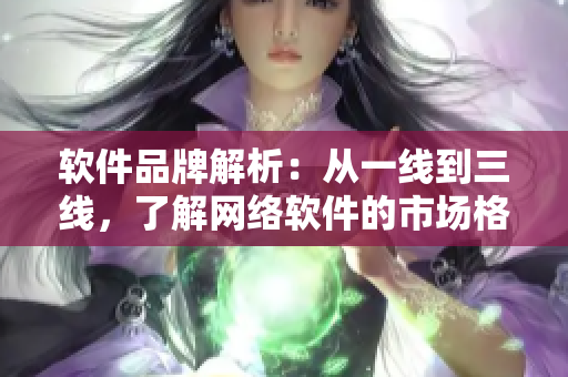 软件品牌解析：从一线到三线，了解网络软件的市场格局