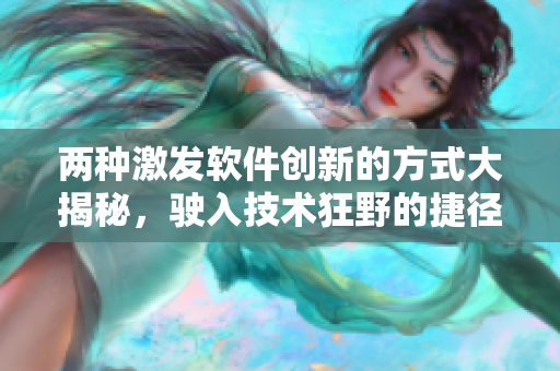 两种激发软件创新的方式大揭秘，驶入技术狂野的捷径曝光