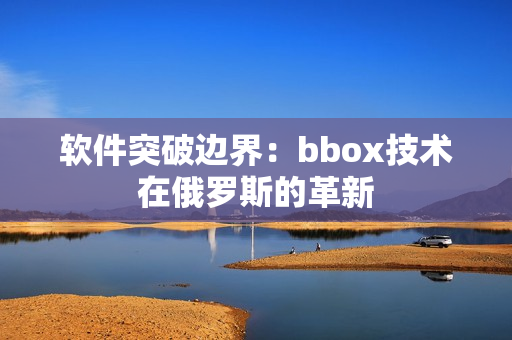 软件突破边界：bbox技术在俄罗斯的革新