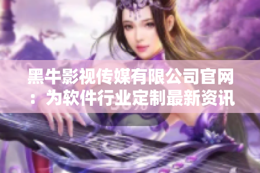 黑牛影视传媒有限公司官网：为软件行业定制最新资讯资料