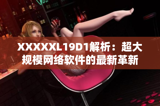 XXXXXL19D1解析：超大规模网络软件的最新革新