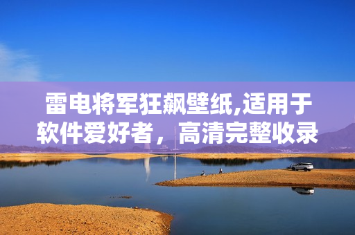 雷电将军狂飙壁纸,适用于软件爱好者，高清完整收录，多款风格任你选择