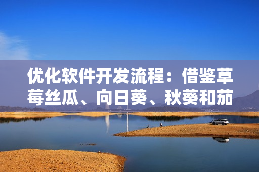 优化软件开发流程：借鉴草莓丝瓜、向日葵、秋葵和茄子的成长经验