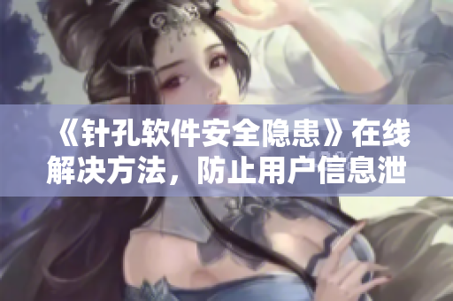 《针孔软件安全隐患》在线解决方法，防止用户信息泄露