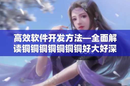高效软件开发方法—全面解读铜铜铜铜铜铜铜好大好深色板