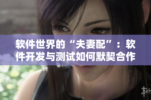 软件世界的“夫妻配”：软件开发与测试如何默契合作？